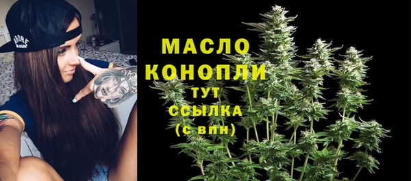индика Арсеньев