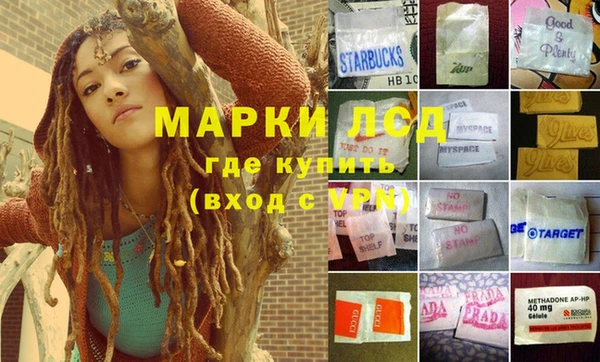 индика Арсеньев