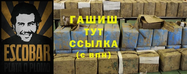 индика Арсеньев